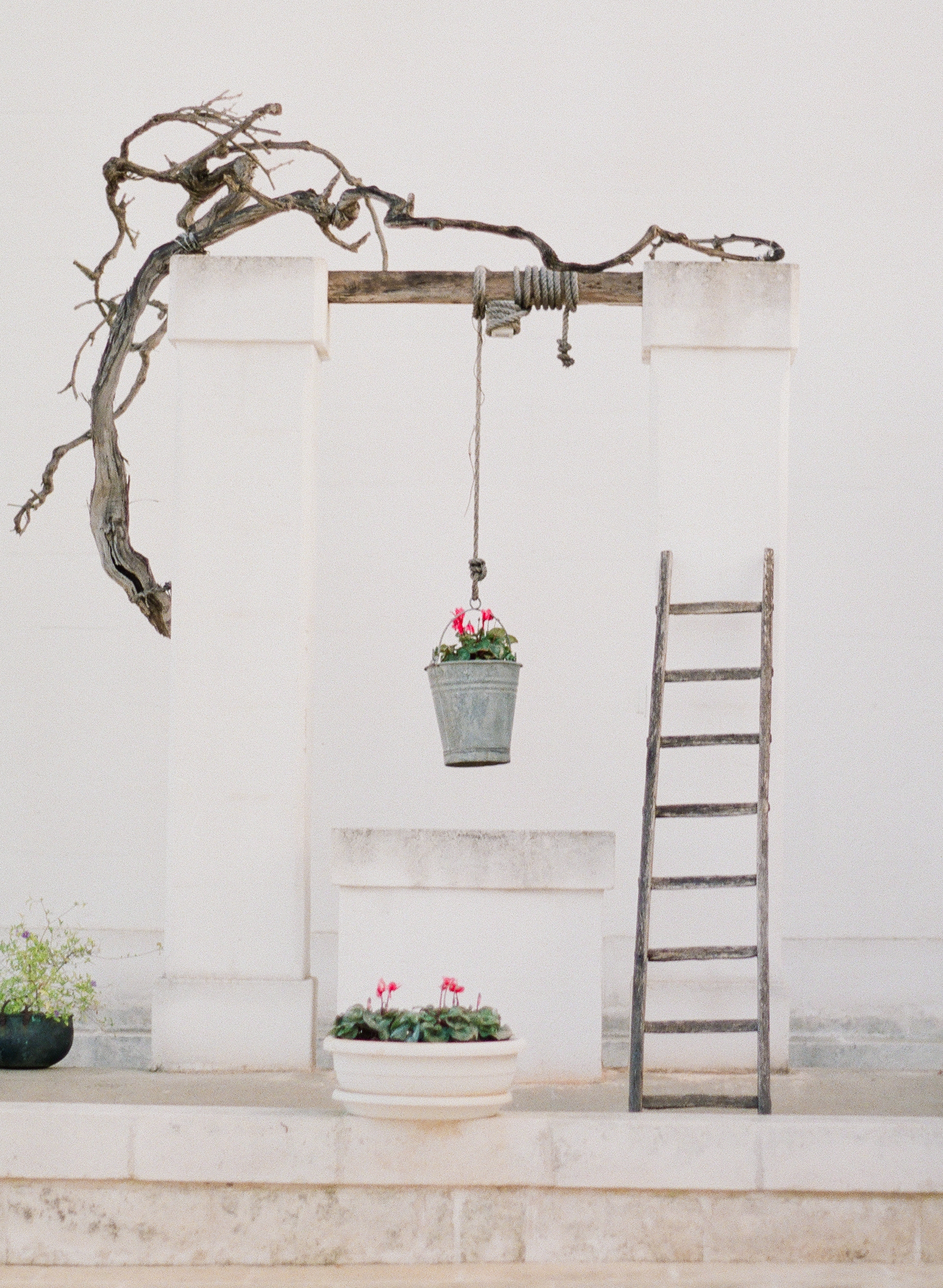 Jessicagmangiaphotography 117